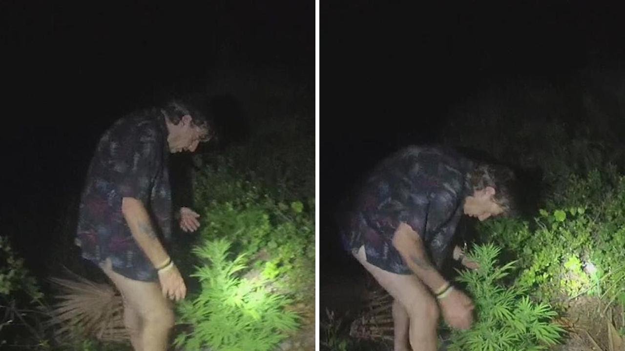 Florida Man Shows Police His Marijuana Plant: Cops