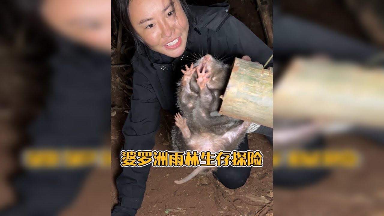 婆罗洲热带雨林生存探险，队友们相互协作，获取食物，终于成功在婆罗洲雨林吃上了一顿焦香的烤竹鼠