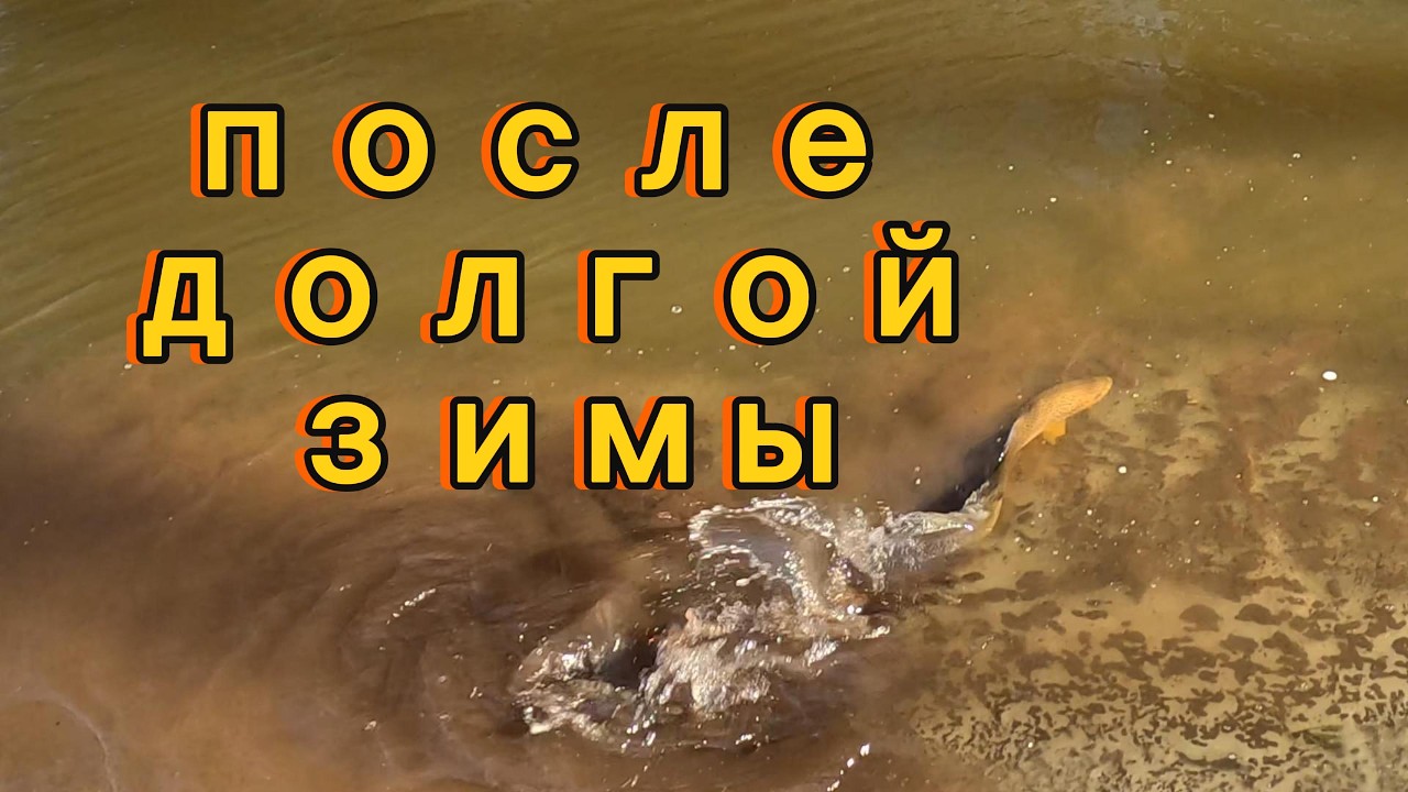 после долгой зимы