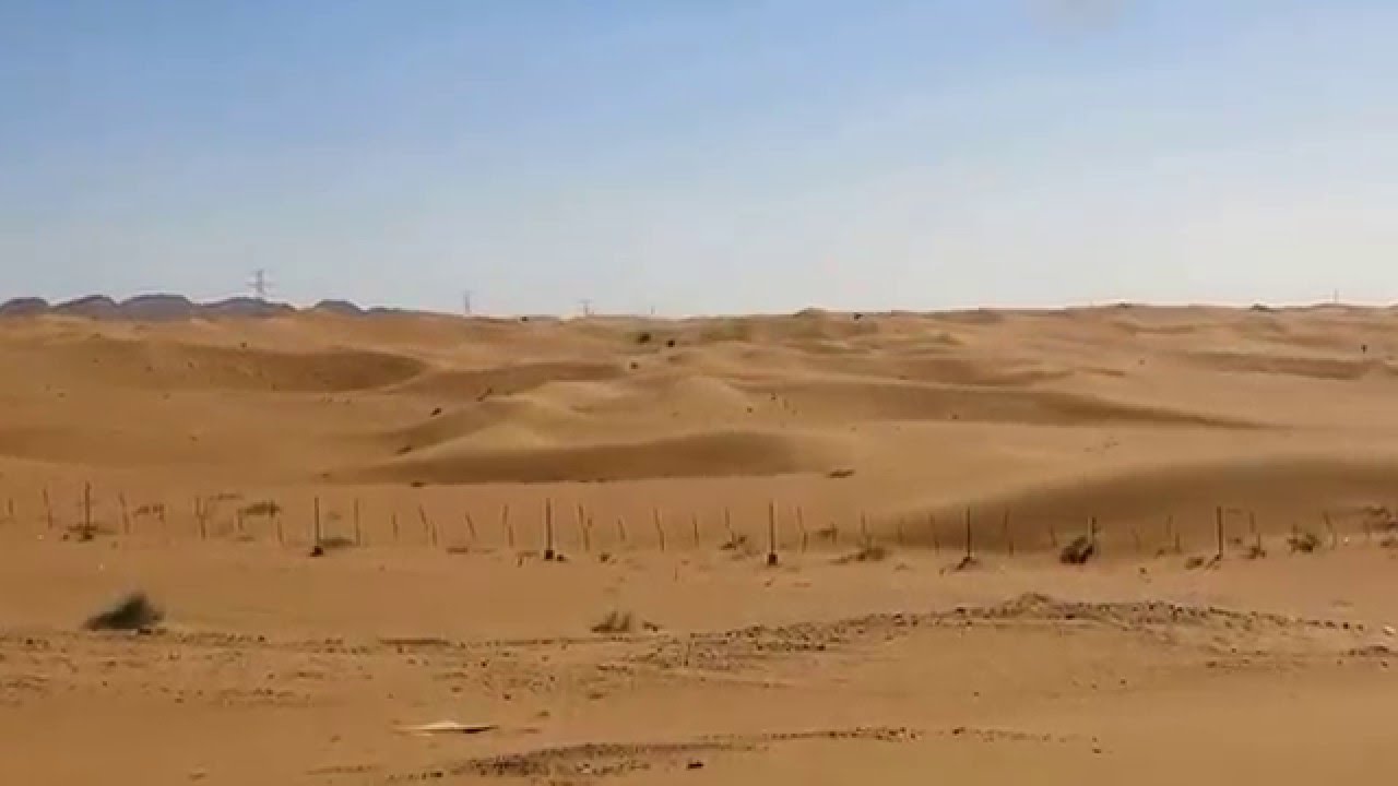 Desert Views