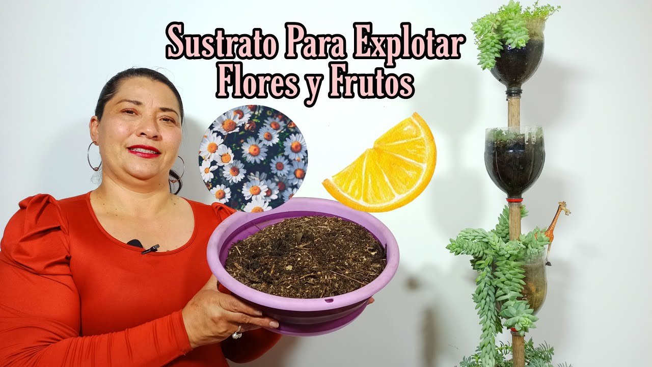Sustrato Que te regalara flores y frutos increibles