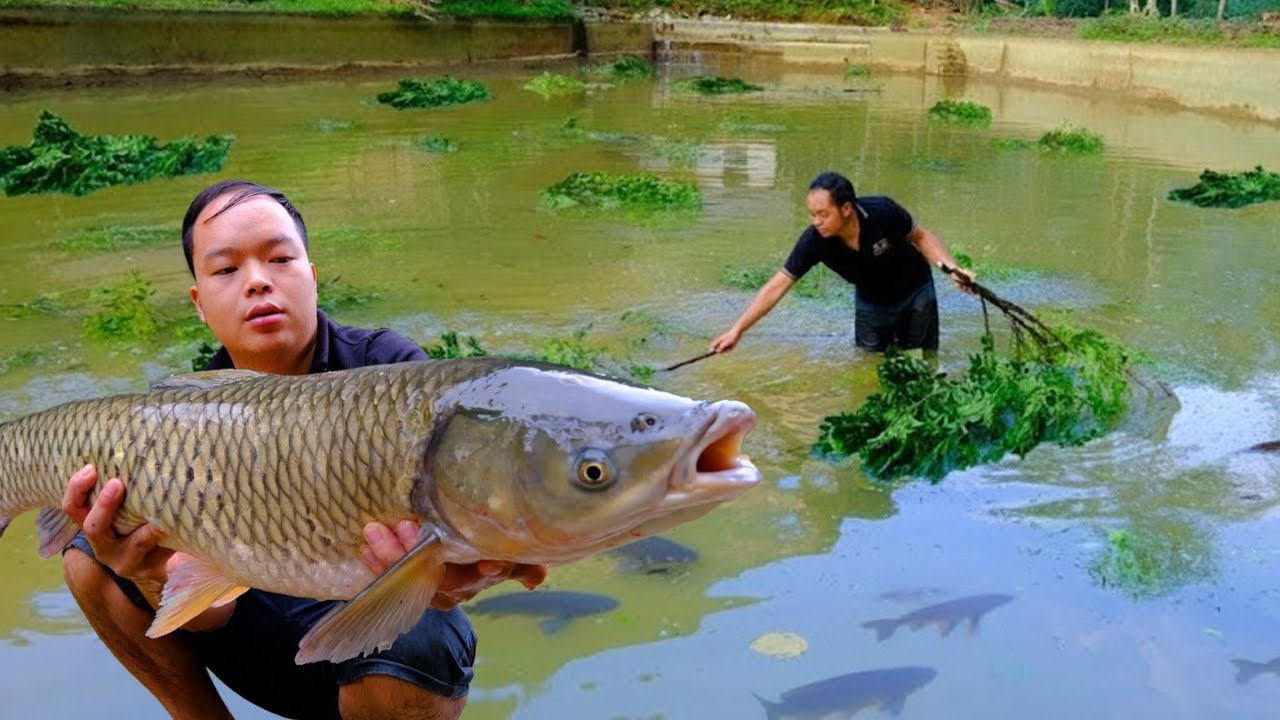 Primitive Skills Fishing Challenge: How I Caught the Biggest Pond Fish