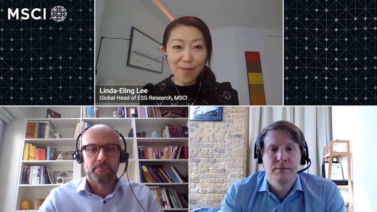 Foundations of Climate Investing