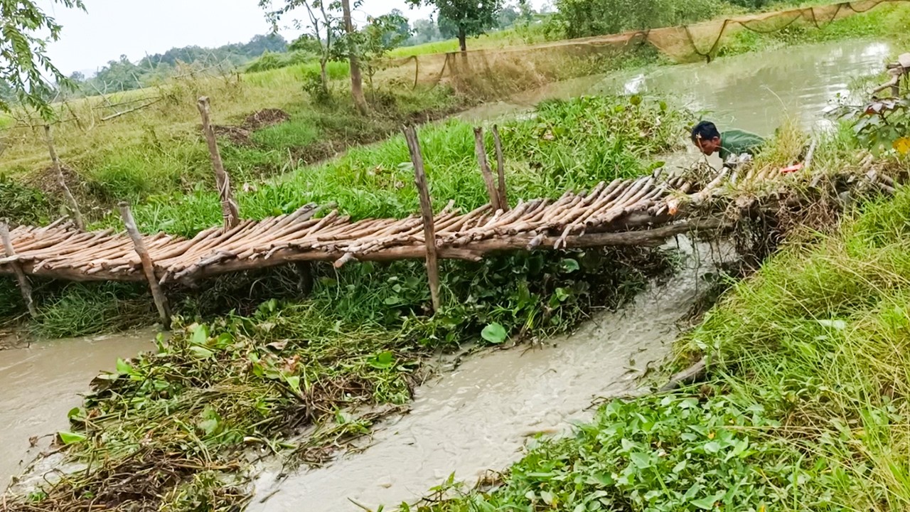 Villager Try To Save Bridge  For Cross Canal