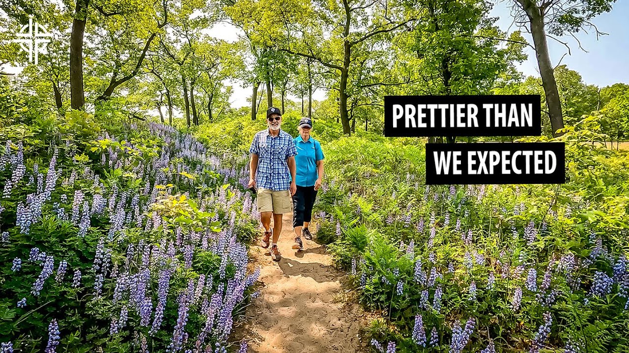 Must-Do Hikes At Indiana Dunes State & National Parks:  3-Dune Challenge + The Miller Woods Trail