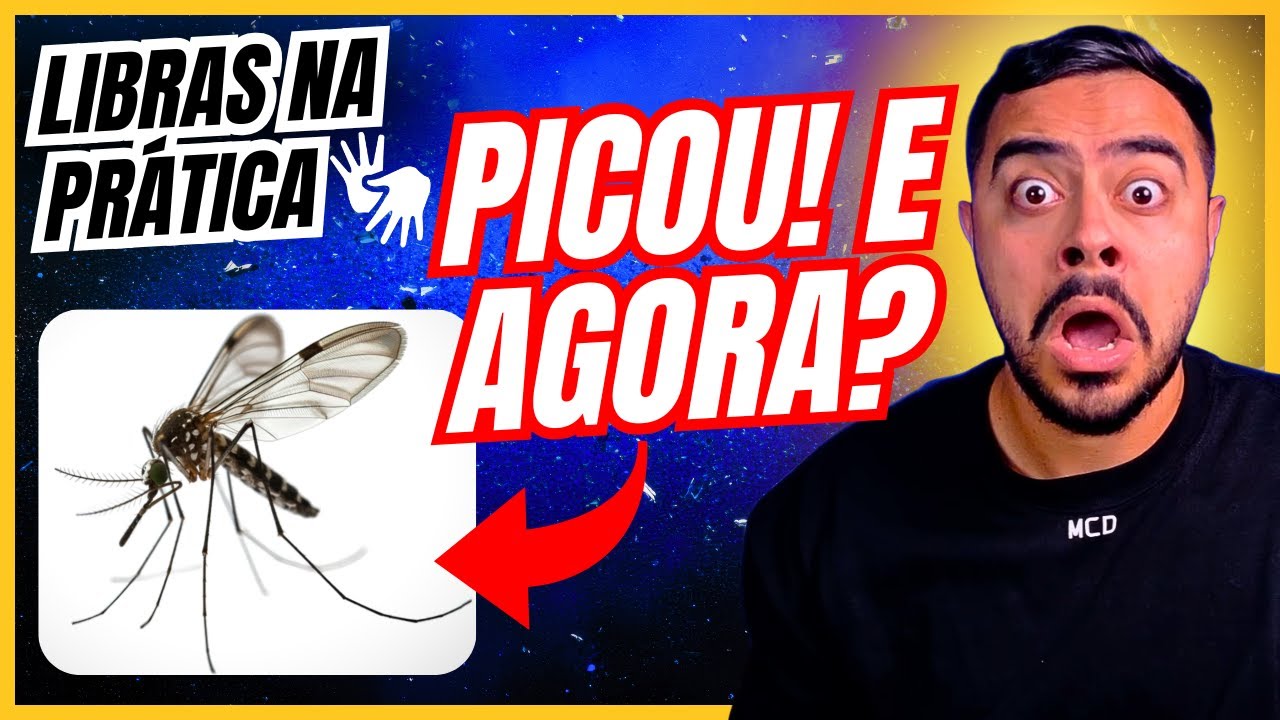 LIBRAS NA PRÁTICA: Por Que Mosquitos Picam? | LÍNGUA DE SINAIS PARA INICIANTE #007