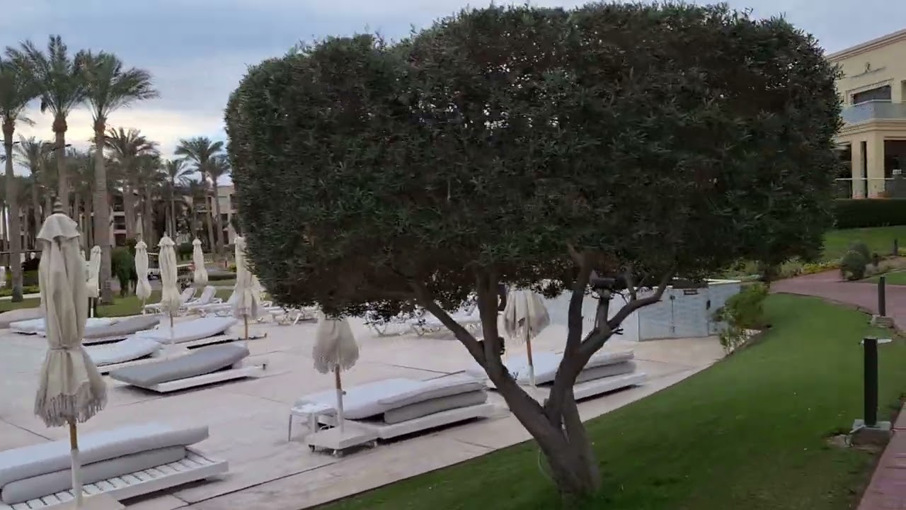 RIXOS, Поездка из номера на ресепшн на электрокаре.