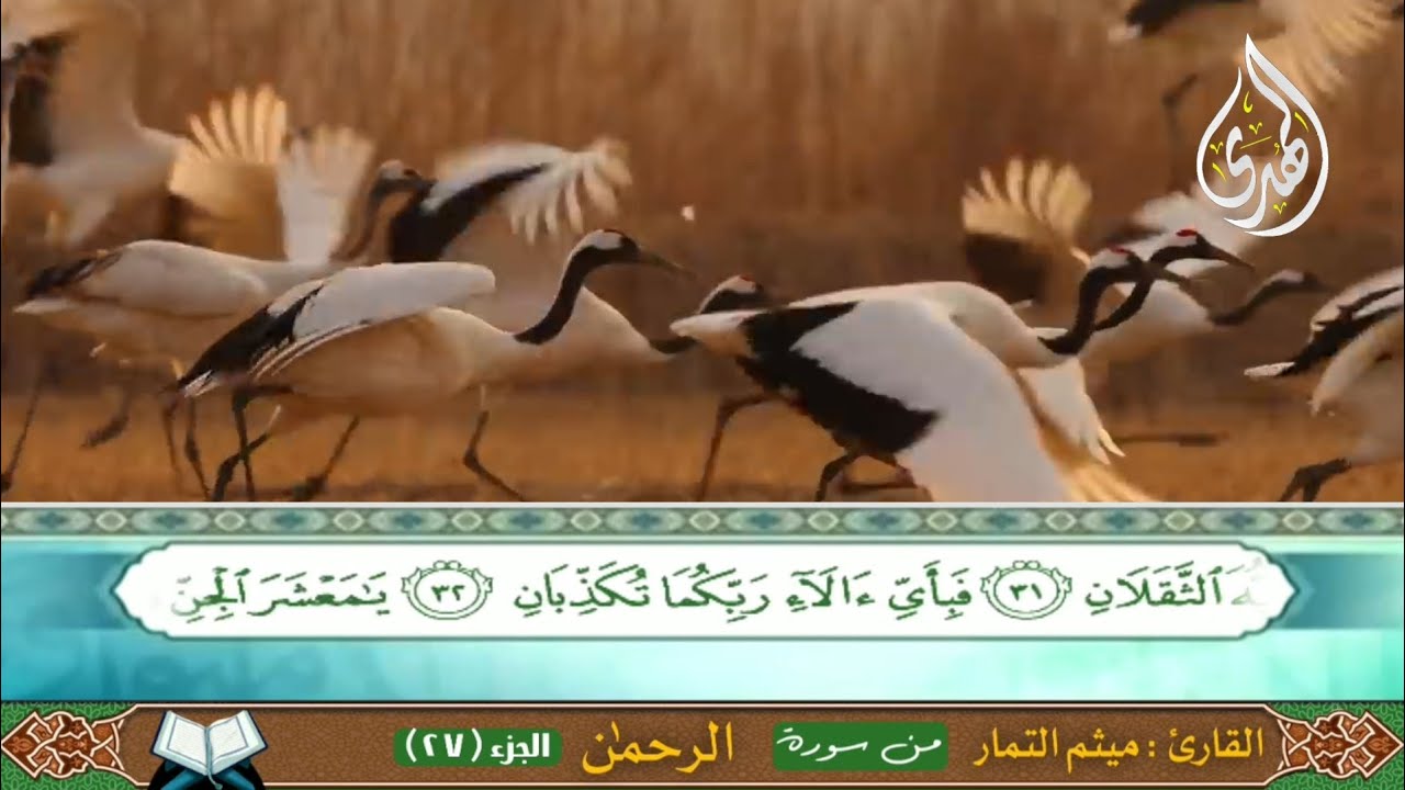 سورة الرحمــــن _ الحاج ميثم التمارSurat Al-Rahman _ Al-Hajj Maytham Al-Tammar