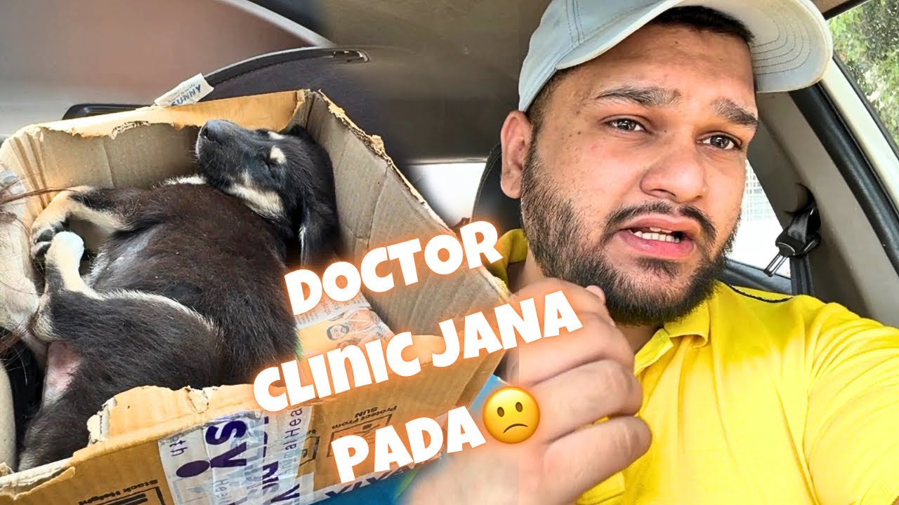 Chote Puppy Ko Leke Gaye Doctor Clinic 🥺