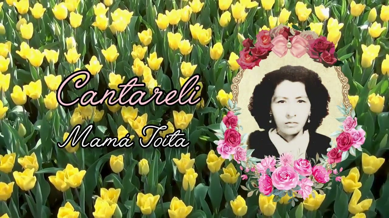Cantareli - Mam&aacute; Toita