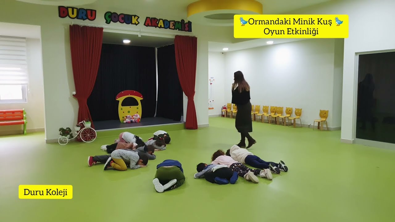 Ormandaki Minik Kuş - Oyun Etkinliği