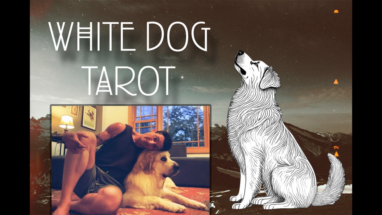 Ask me anything; Free Reading & Rune Messages with Stefan & the dogs