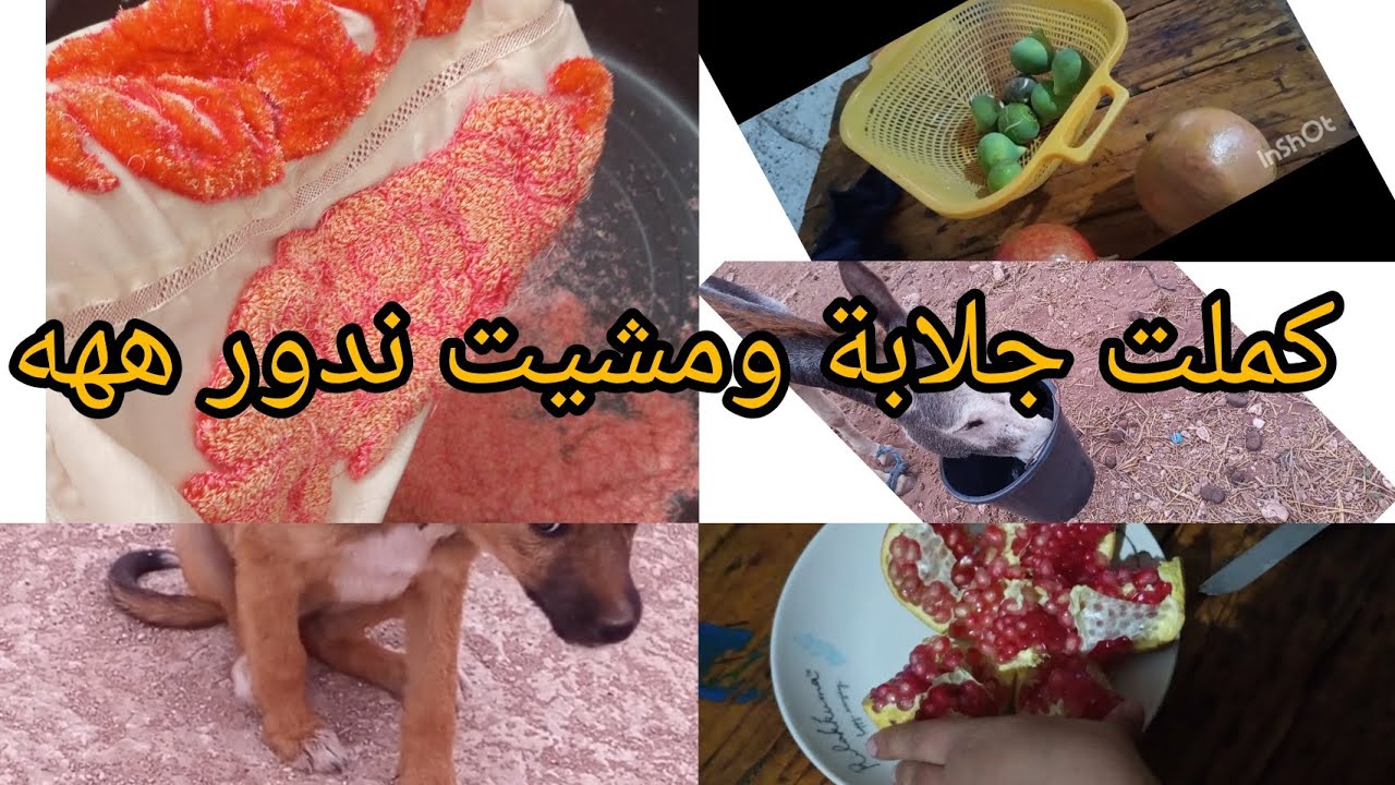 مديريش #عوائق وهمية في طريقك الى كنتي منضمة كلشي غادا توصلي ليه#ابرة الشرقية #تعليم #جلابة #