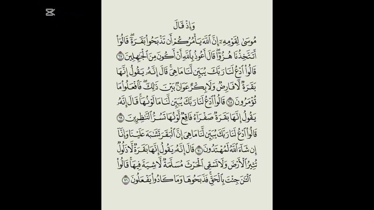 سنھری گاۓوالاسبق آموز واقعہ/بحث آسان ھے اطاعت مشکل ھے