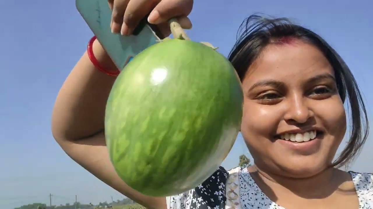 আজ বেগুন খেত এ গিয়ে কি কি করলাম 🥰❤️#vlog #blogger 