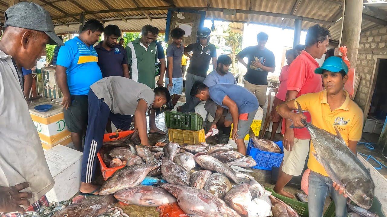 The Freshest Seafood Market: Experience The Thrill Of Fresh Seafood The Freshest Catch, Expertly Cut