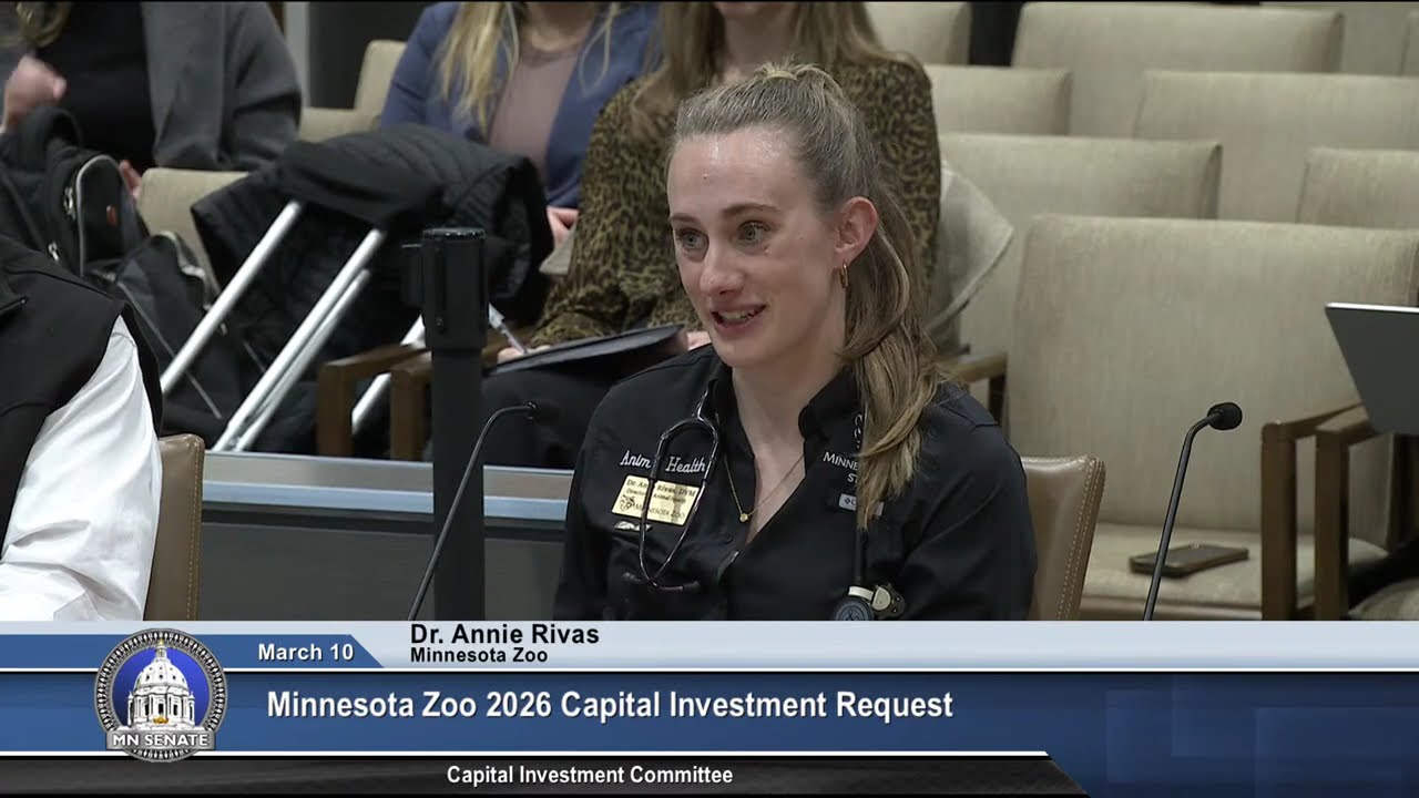 Committee on Capital Investment - 03/10/26