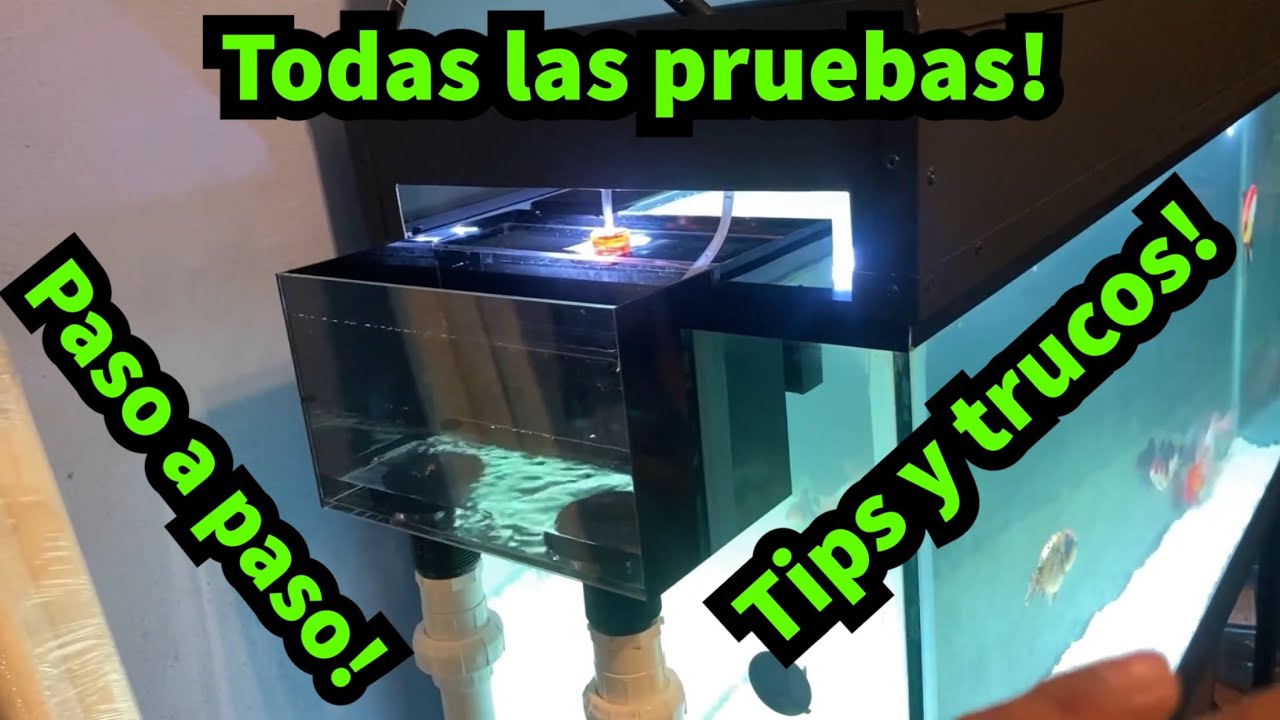 Cómo instalar un rebosadero para no perforar la pecera