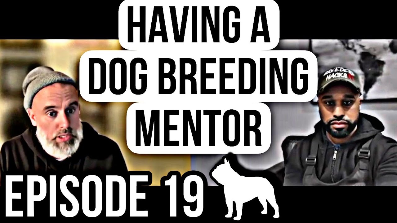 Having a Dog Breeding Mentor with @Double muscle line Bulls & @Chris and Gina, THE BULL SOURCE