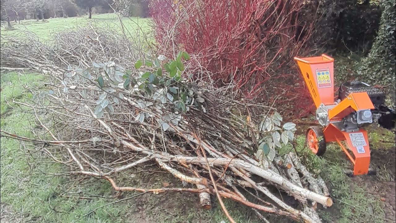 Forest master fm6dd- Review -chipping willow.