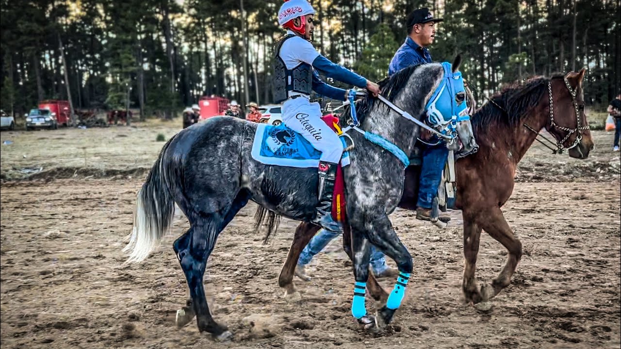 Que Viva La Sierra | El Desafío Vs El Troquero, Carril El Rosillo Durango Méx.