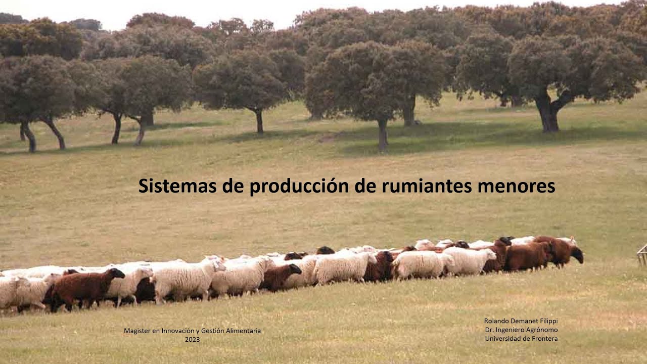 Sistemas de producción de rumiantes menores