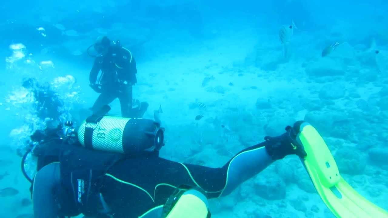 Scuba diving in the Atlantic Ocean with Turtles, Stingrays & Colorful fishes.