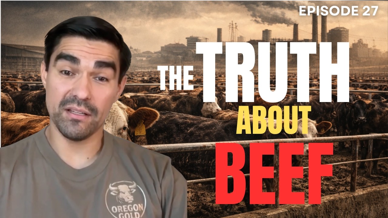A Rancher Explains Why the Modern Beef Industry Is Broken