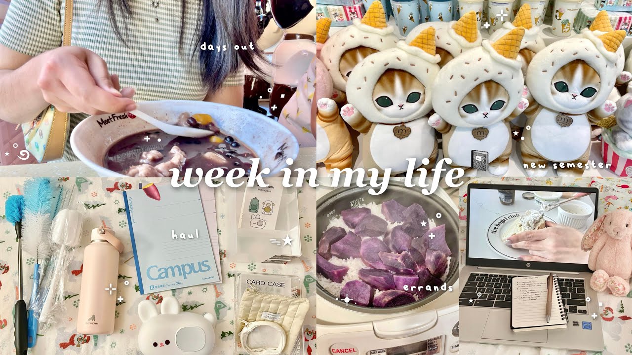 winter break ends, spring semester begins ˚.🍞˖ new classes, school supplies haul, errands, days out