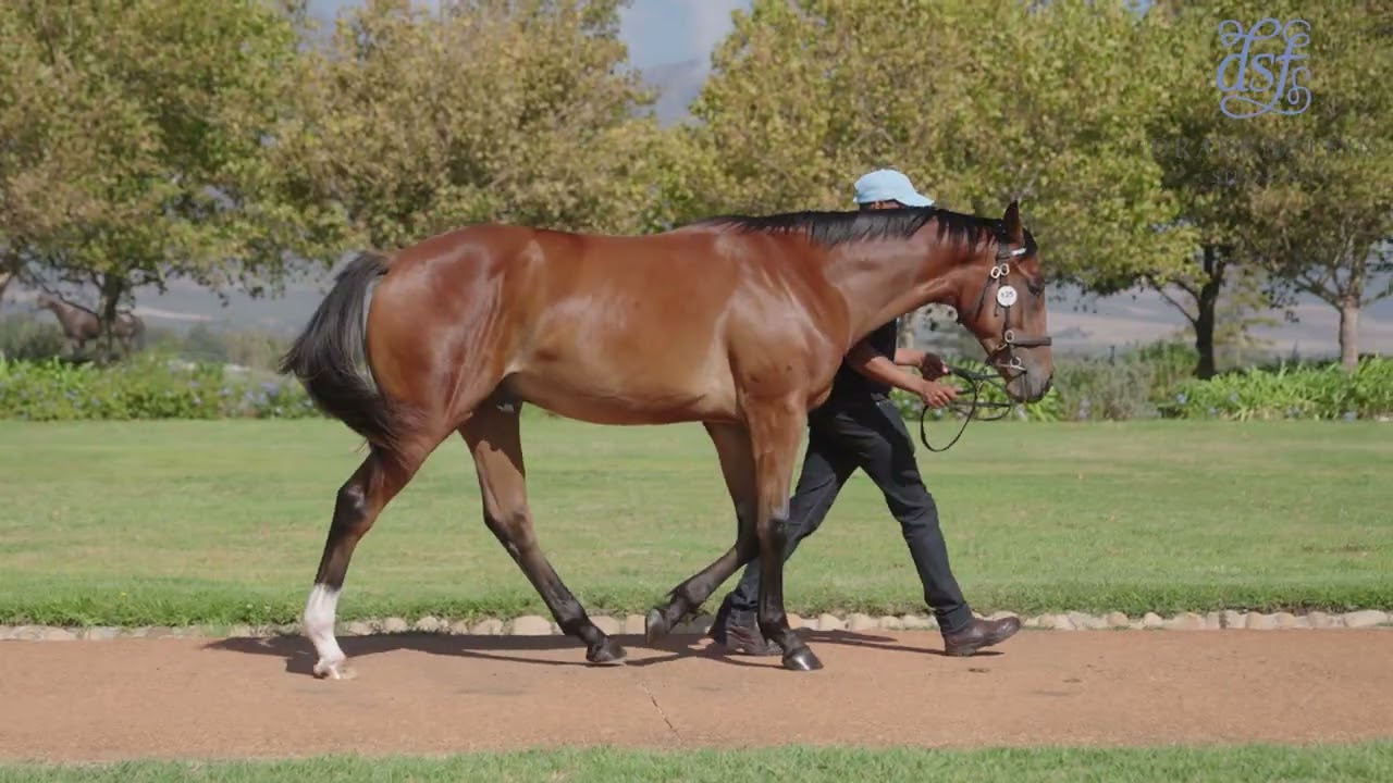 LOT 135 SOLITARY EAGLE