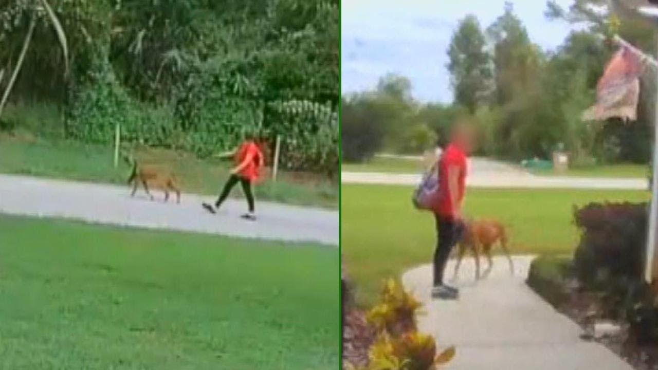 11-Year-Old Girl Charged With Snatching Dog in Florida Neighborhood