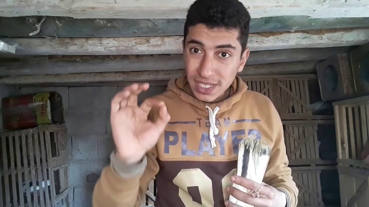 علاج الكيس الدهنى في الحمام نظرى😎 وعملى بالشرح والأدوات المطلوبه👐  النتايه خفت وحصت الحمد لله 🤲