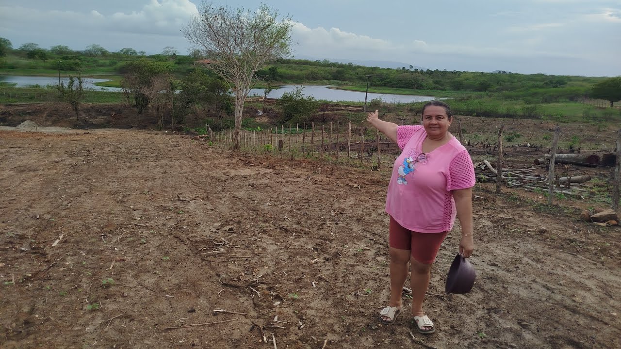As chuvas chegaram/ plantando mudas frutíferas/ 🥑🌱☁️🌧️#vidanaroça #sertão #vidanositio 