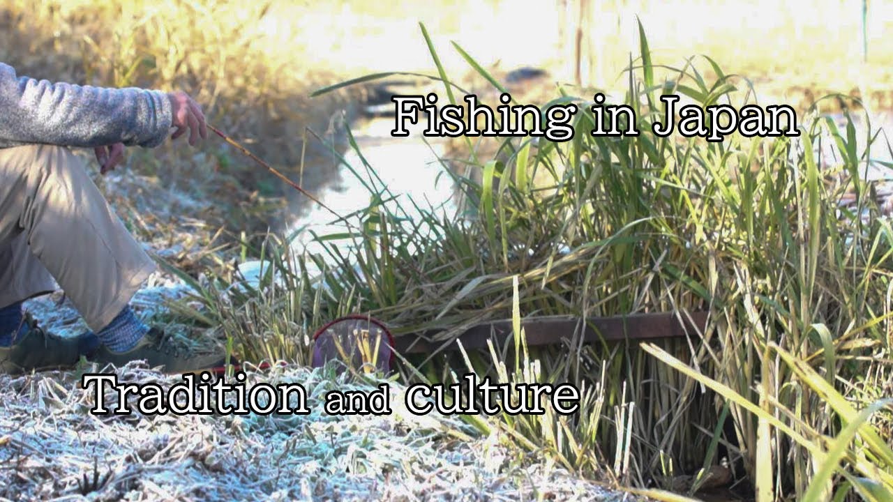 Japanese Fishing 【Tradition and Culture】 Good old Japanese TANAGO Fishing!