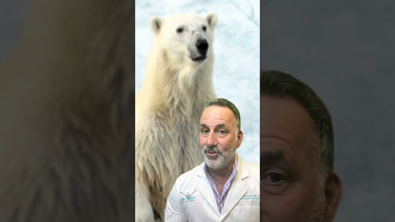Orthopedic conference in the arctic!