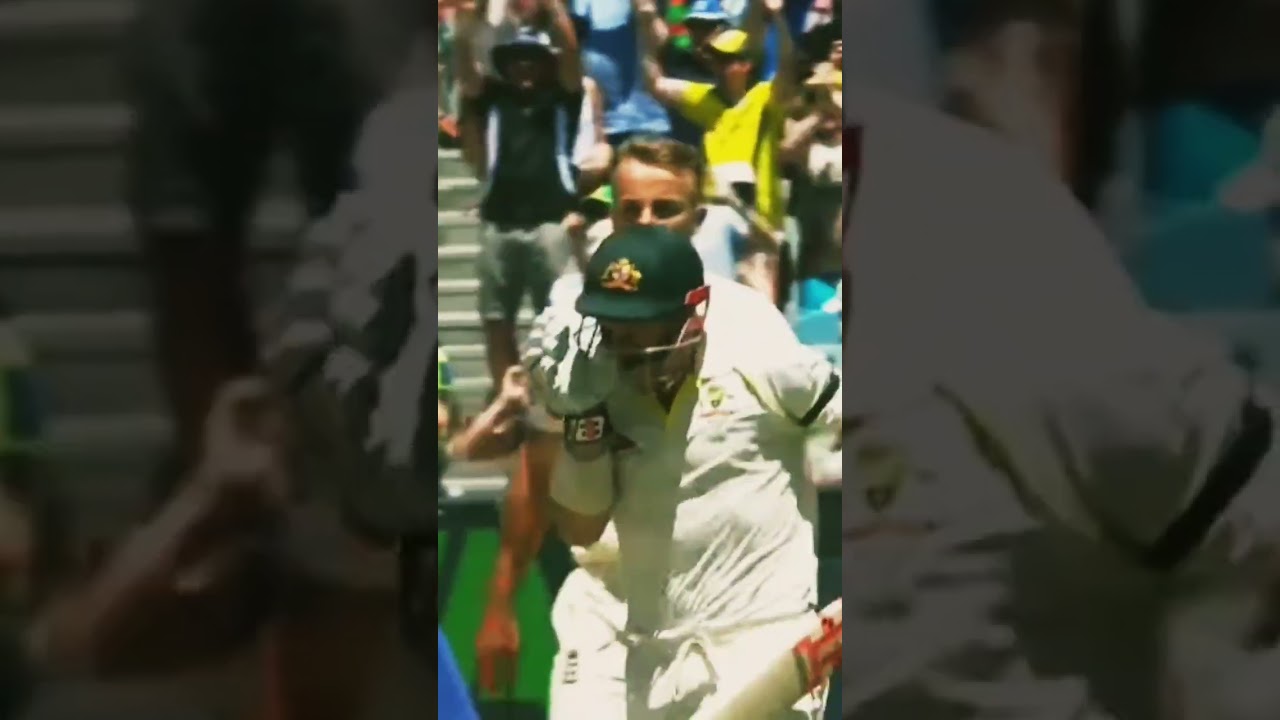 One of the best Celebration in Cricket|||DAVID WARNER|||Australia
