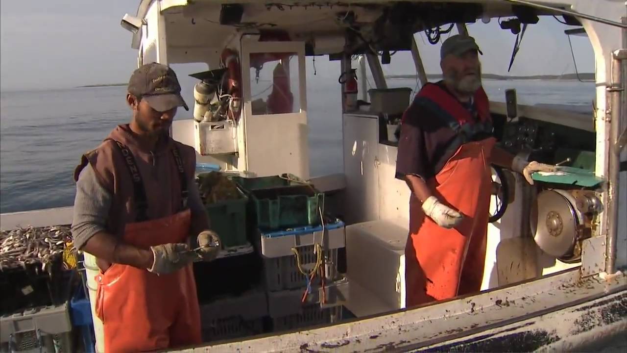 Maine Lobster Harvest - America's Heartland