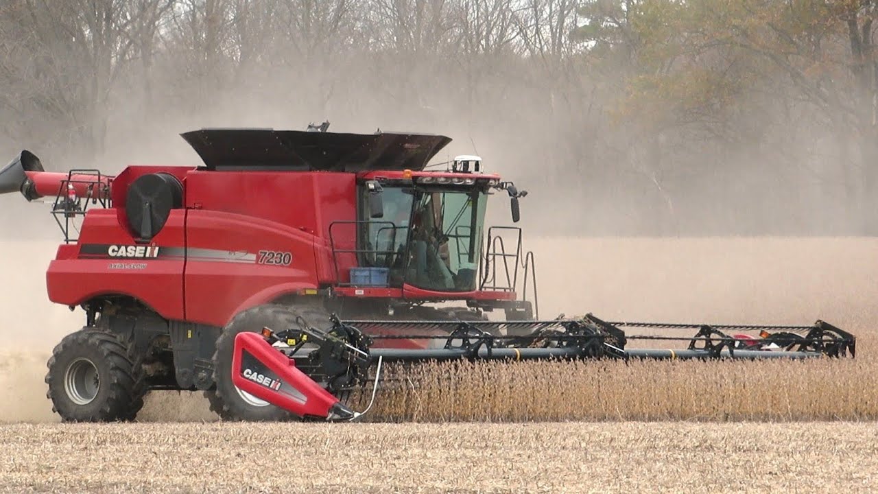 Harvest 2020 | Case IH 7230 Axial Flow Combine Harvesting Soybeans | Ontario, Canada