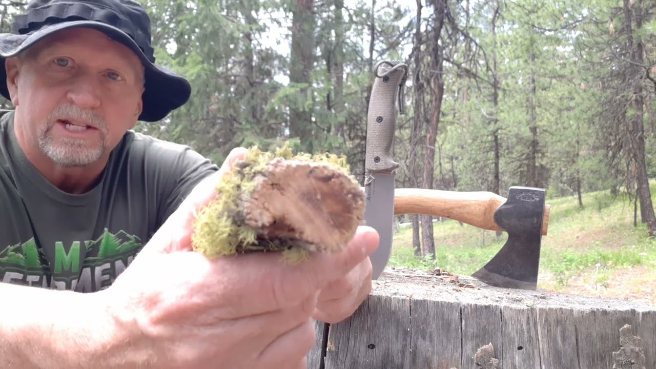 Fatwood: Understanding This Resource Could Save Your Life!