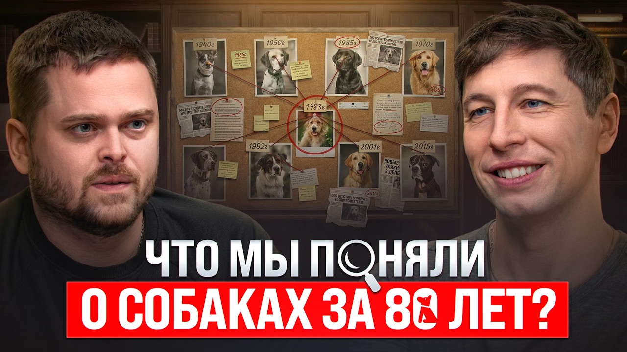 Мы ничего не поняли о собаках за 80 лет