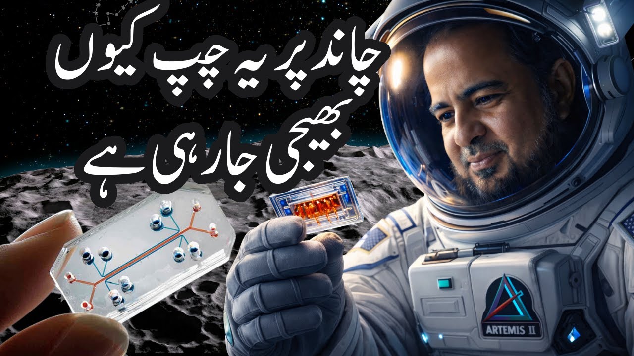 Artemis II Moon Mission: What's Inside This Microchip? | NASA Explained | اردو | हिन्दी