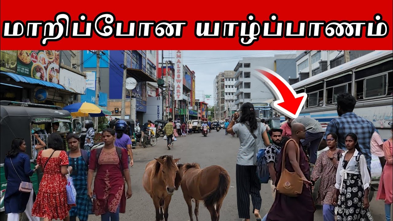 வந்து குவியும் வெளிநாட்டு நிறுவனங்களால் மாறி வரும் யாழ்ப்பாணம் | Jaffna 