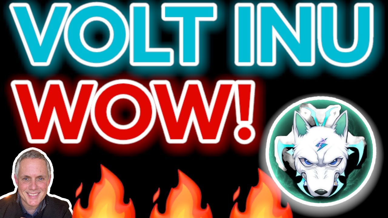 VOLT INU - ALL I CAN SAY IS 
