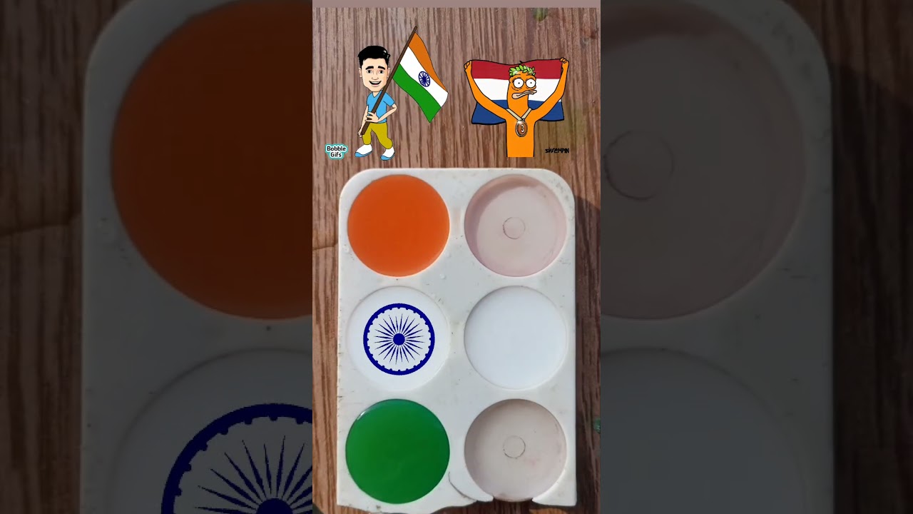 Indian + Netherlands flag painting 