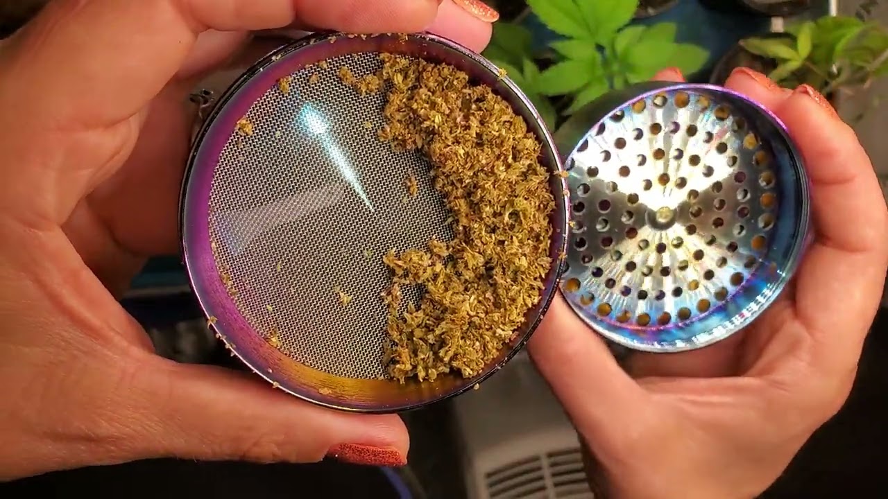 Green Monkey Grinder Demo