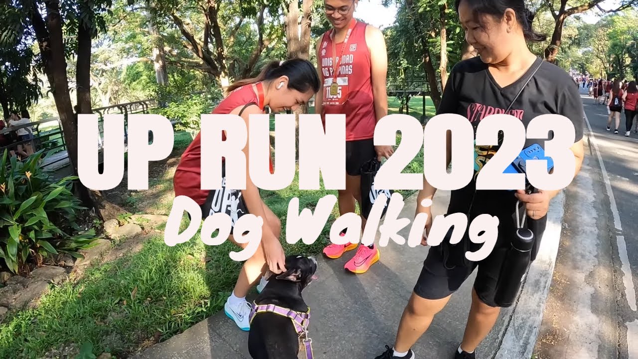 UP RUN 2023 | Dog Walking