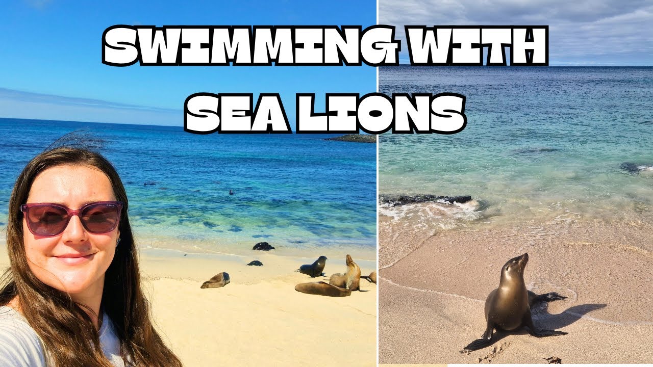 San Cristobal Galapagos: Sea Lions, Turtles, Sharks & The 360 Tour