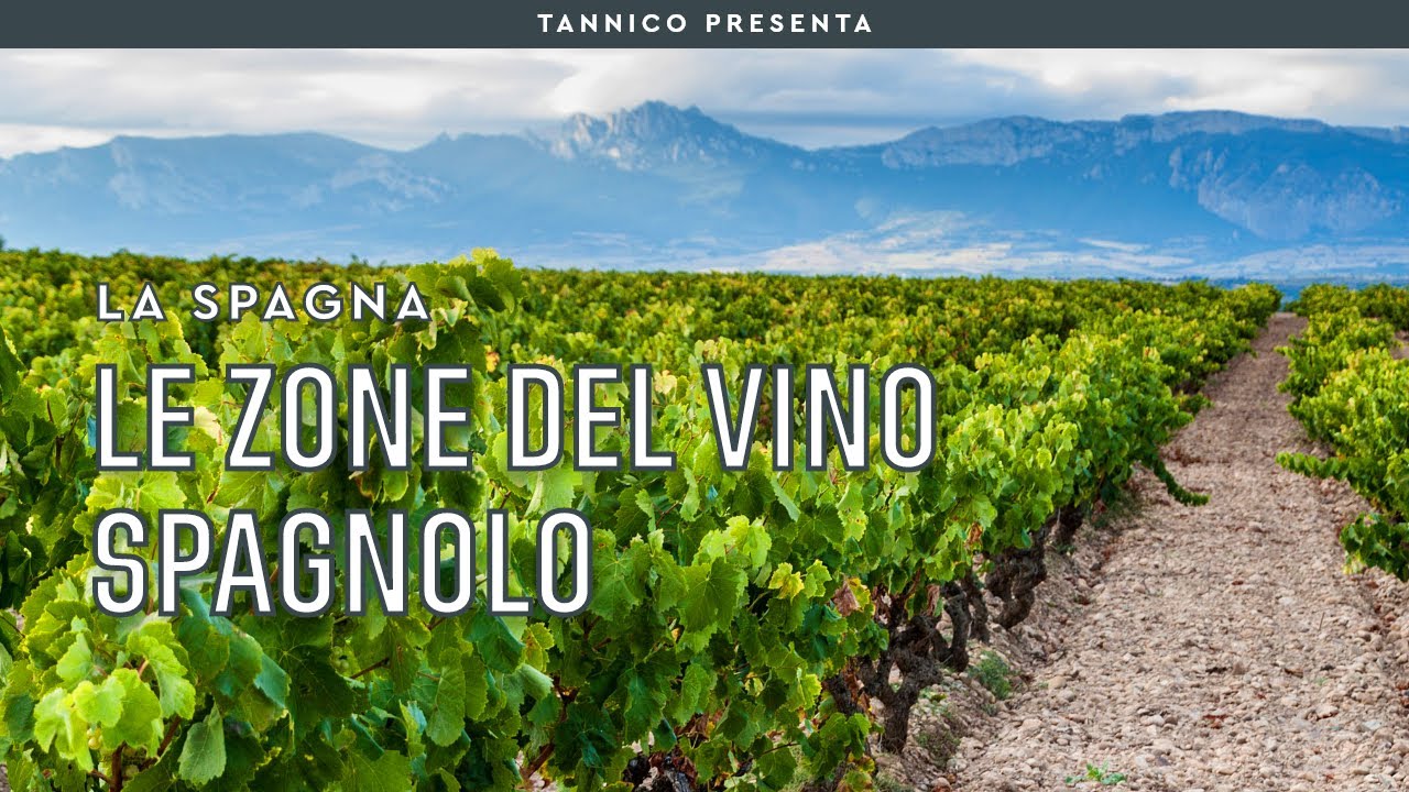 Le zone di produzione del vino spagnolo | Tannico Flying School
