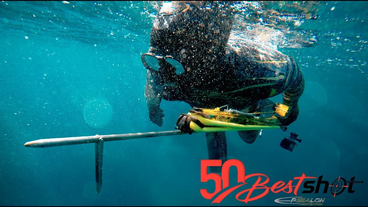 Epsealon Best Of 50 Shot  - Chasse sous marine 2019