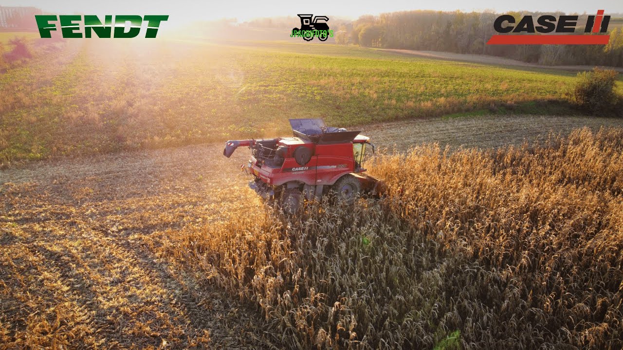 Case IH Axial-Flow 8230